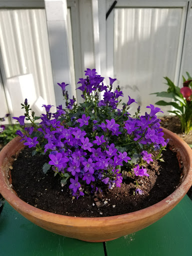 Art Museum «The Frick», reviews and photos, 7227 Reynolds St, Pittsburgh, PA 15208, USA