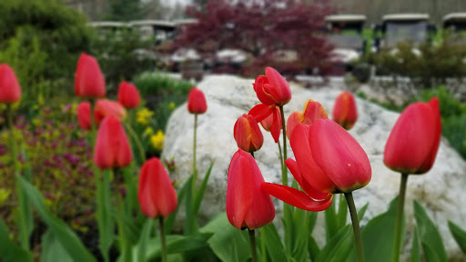 Public Golf Course «Blissful Meadows», reviews and photos, 801 Chocolog Rd, Uxbridge, MA 01569, USA