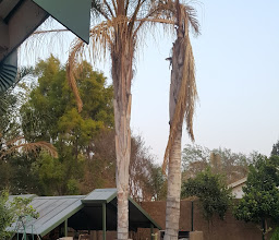 Pafuri Self Catering Units photo