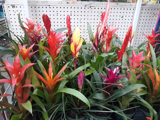 Home Improvement Store «Pierson Building Center», reviews and photos, 4100 Broadway St, Eureka, CA 95503, USA