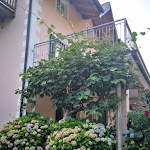 Photo n°2 de l'avis de S..e fait le 28/06/2019 à 20:53 sur le  Pizzeria Margherita à Tenna