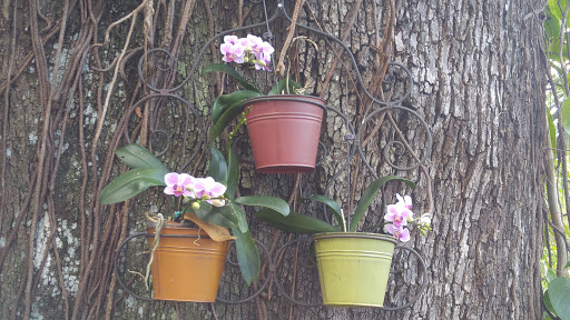 Florist «Country Corner Bouquets», reviews and photos, 11515 E M.L.K. Jr Blvd, Seffner, FL 33584, USA