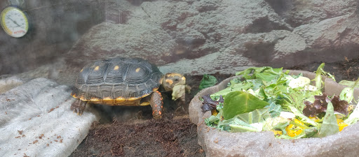 Pet Supply Store «Petco Animal Supplies», reviews and photos, 5843 N Elizabeth St, Pueblo, CO 81008, USA