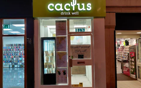 Cactus Drink Well Chester image