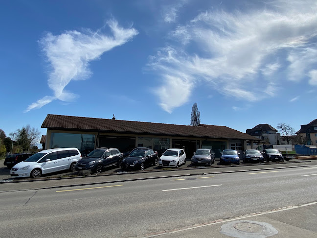 Rezensionen über MTM Autohandel GmbH in Arbon - Autohändler