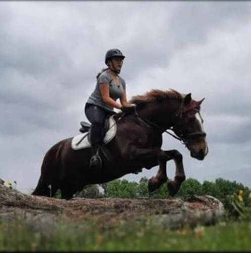 Waikato Equestrian Centre - Hamilton