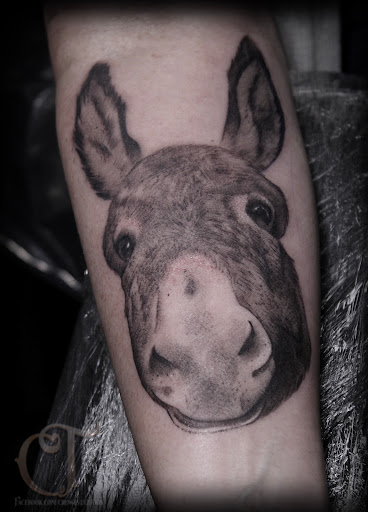 Explore kidney cancer tattoo ideas, creative tattoo ideas in Houlton, available at Crowes Tattoos