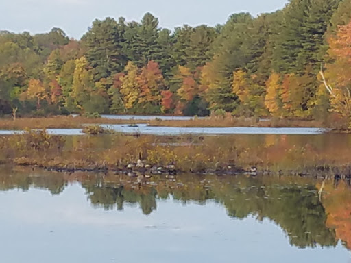 State Park «Borderland State Park», reviews and photos, 259 Massapoag Ave, North Easton, MA 02356, USA