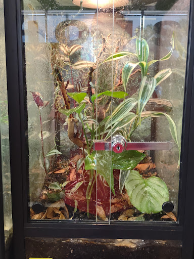 Pet Supply Store «House of Pets Inc», reviews and photos, 29500 Ford Rd, Garden City, MI 48135, USA