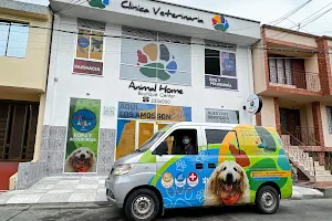 CLINICA VETERINARIA ANIMAL HOME - Consulta Veterinaria - Hotel Canino y Felino - Urgencias Veterinarias - Peluquerías Caninas image