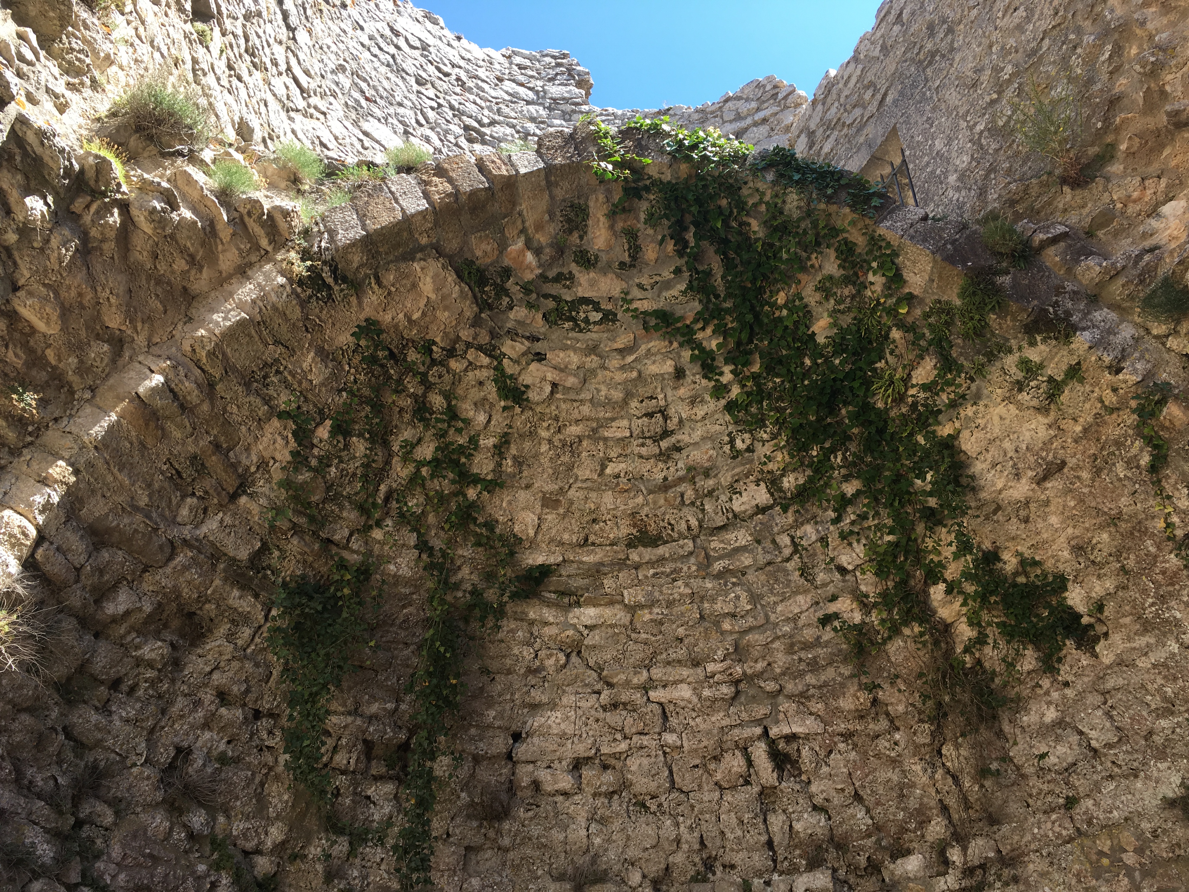 Photo n° 10 de l'avis de Guillaume. fait le 14/08/2019 à 18:59