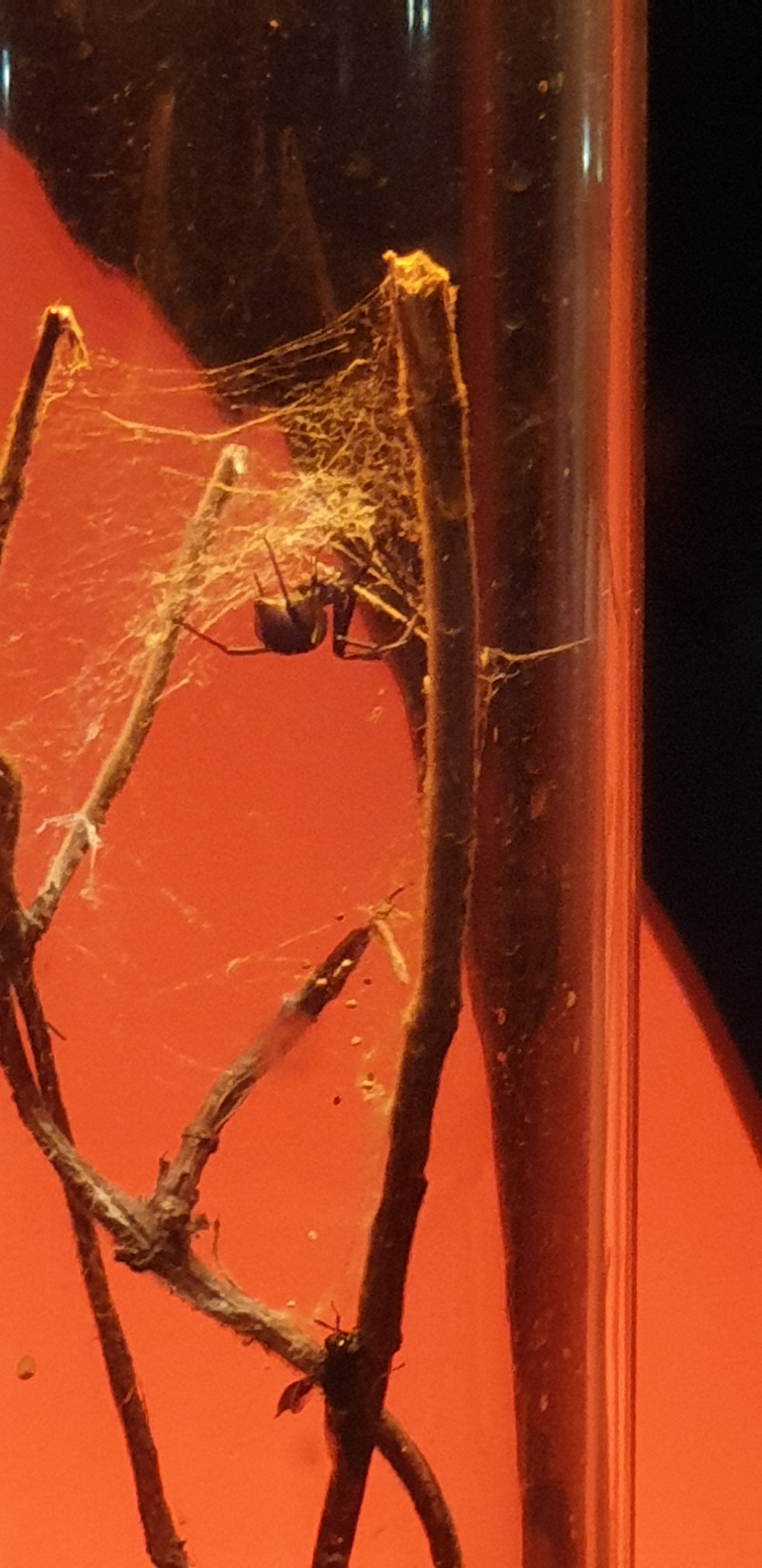 Photo n° 20 de l'avis de Hugo.g fait le 28/06/2019 à 06:35