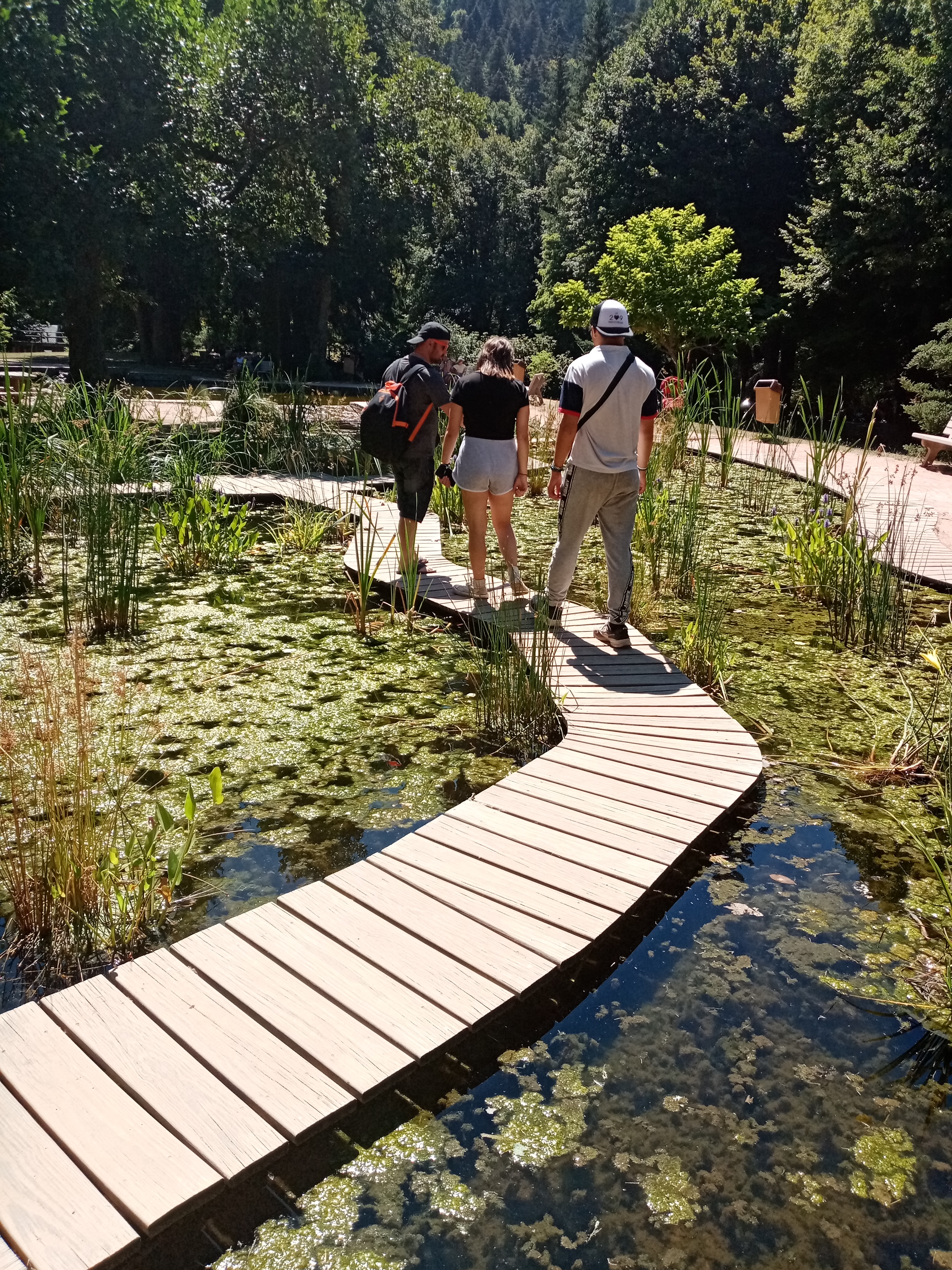 Photo n° 1 de l'avis de angelique.e fait le 07/08/2022 à 21:15