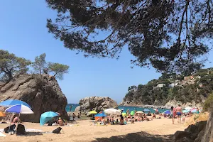 Platja de Canyelles image