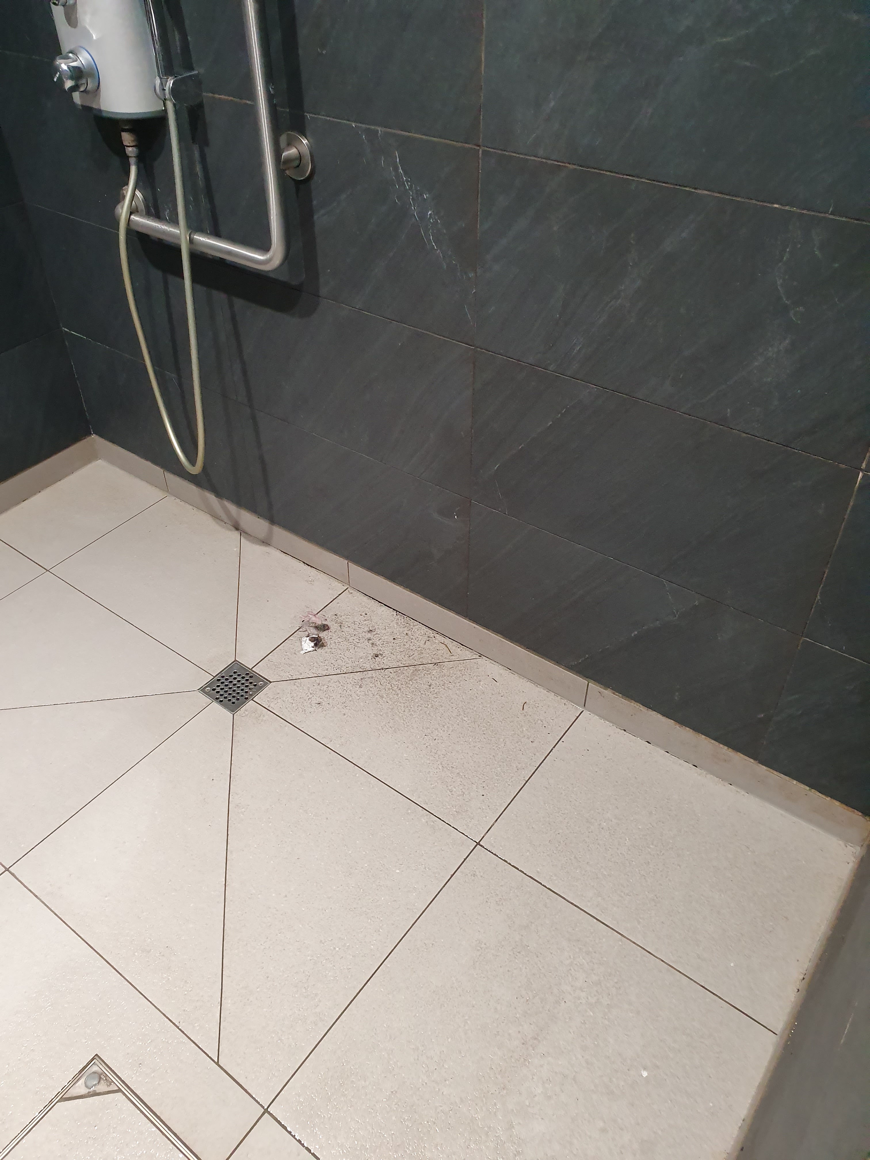 Photo n° 3 de l'avis de Pan.z fait le 27/12/2019 à 01:05