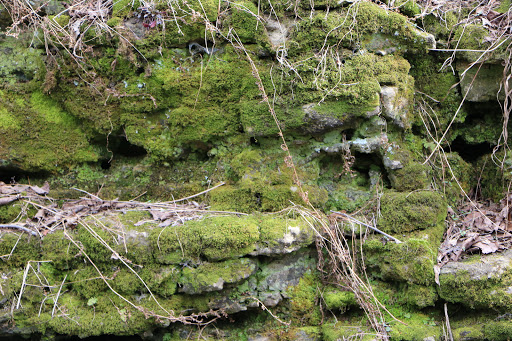 Learning Center «Sagawau Environmental Learning Center», reviews and photos, 12545 111th St, Lemont, IL 60439, USA