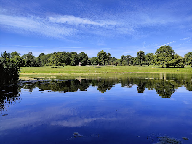 Comments and reviews of Lydiard Park