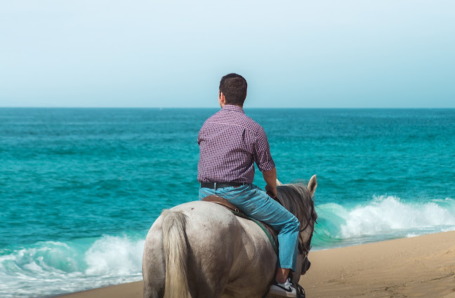 Horses By The Beach - Agência de viagens