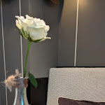 Photo n° 1 de l'avis de David.r fait le 22/07/2023 à 05:44 pour Le Restaurant du Cerisier à Lille