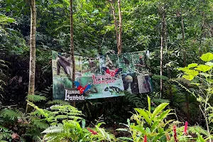 Hutan Rekreasi Gunung Lambak image