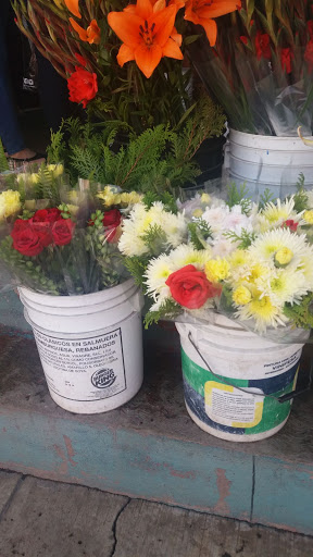 Floreria Michel – Coacalco