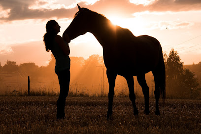 Courage Ranch