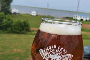 Moth Lane Brewing image