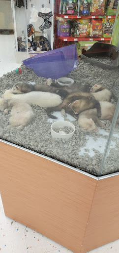Pet Supply Store «Petco Animal Supplies», reviews and photos, 3717 S Meridian, Puyallup, WA 98373, USA