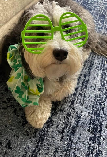 Auto Insurance Agency «State Farm: Nick Reed», reviews and photos