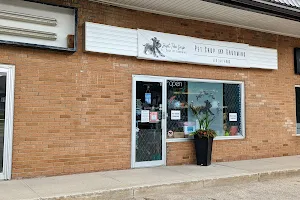 Just The Snip Pet Shop & Grooming image