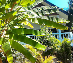 Baan Karon Resort photo