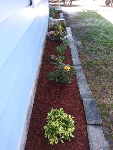 Park «Lowry Park», reviews and photos, 7525 North Blvd, Tampa, FL 33604, USA