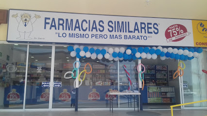 Farmacias Similares Profesor Humberto Ramos Lozano, Pedregal Del Valle, Sin Nombre De Col 28, Cd Apodaca, N.L. Mexico