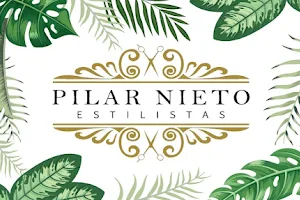 Pilar Nieto Estilistas image