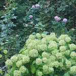 Photo n°3 de l'avis de tat.a fait le 17/09/2023 à 14:24 sur le  Restaurant Altenwald à Sulzbach