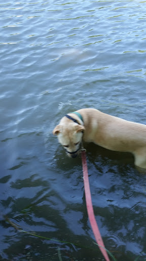 Park «Katherine Rose Memorial Park», reviews and photos, 303 N Walnut Creek Dr, Mansfield, TX 76063, USA