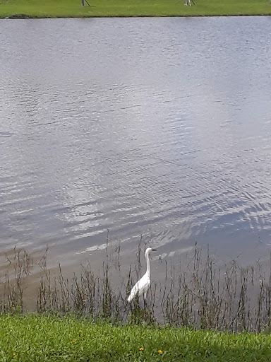 Park «Plantation Central Park», reviews and photos, 9151 NW 2nd St, Plantation, FL 33324, USA