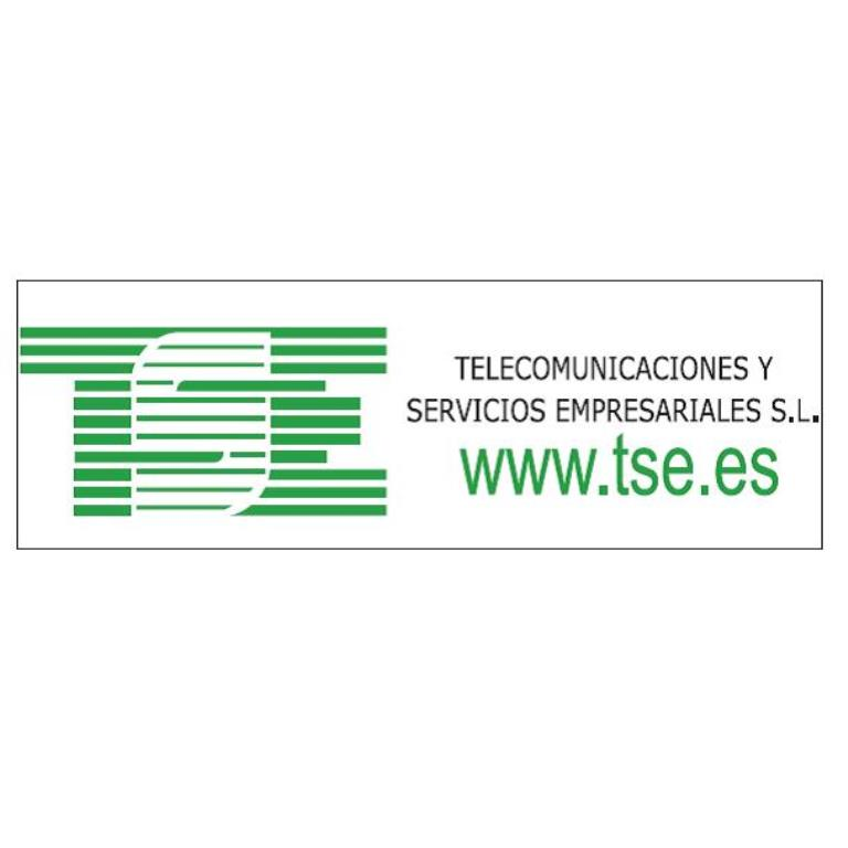 Telecomunicaciones y Servicios Empresariales S.L.