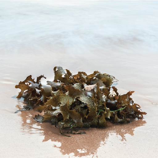 Hair Salon «Salon CoCo BOND Spa», reviews and photos, 809 Broad St, Shrewsbury, NJ 07702, USA