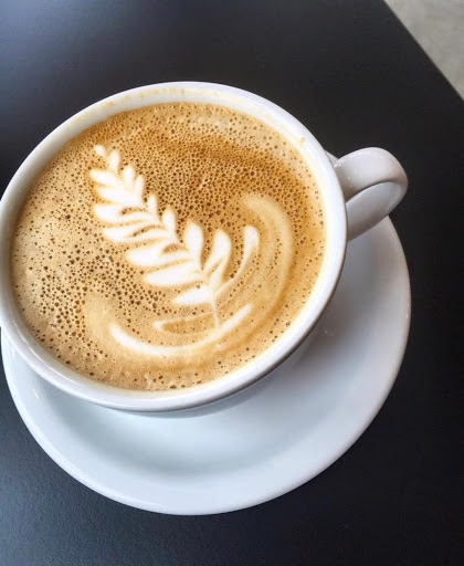 Tipico Coffee, 128 Fargo Ave, Buffalo, NY 14201, USA, 