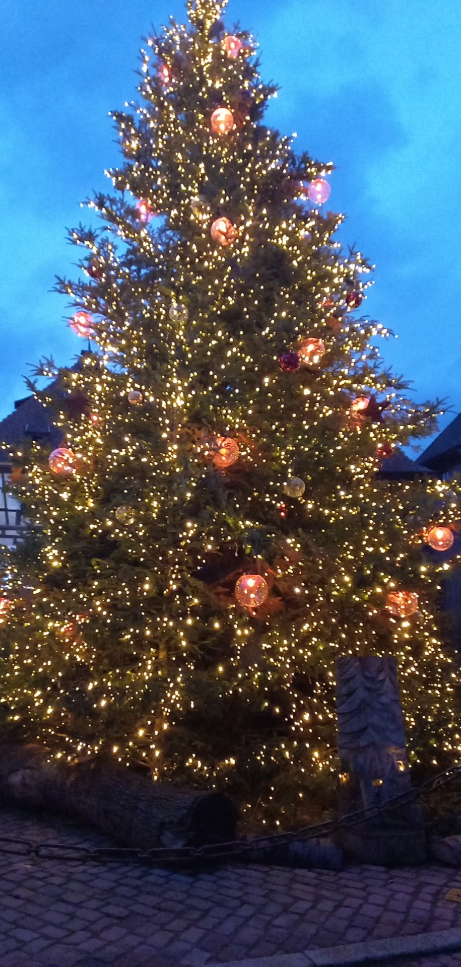 Photo n° 3 de l'avis de Djamylive.h fait le 07/12/2023 à 07:25