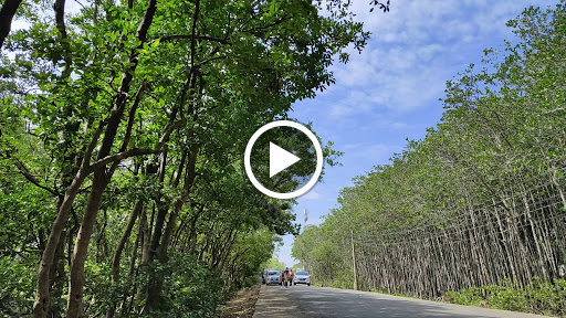 Top 20 cửa hàng tâm house Huyện Cần Giờ Hồ Chí Minh 2022