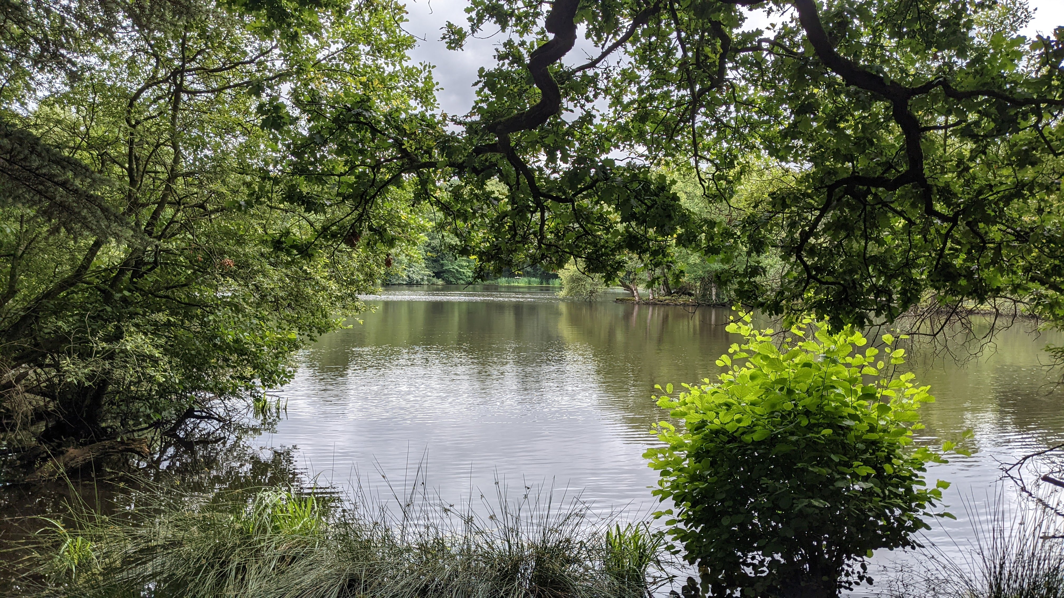 Photo n° 3 de l'avis de Michael. fait le 04/07/2021 à 18:01