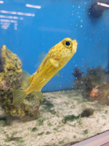 Pet Supply Store «Pet Supplies Plus», reviews and photos, 29402 Woodward Ave, Royal Oak, MI 48073, USA