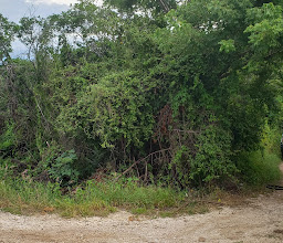 Glorieta Colibrí photo