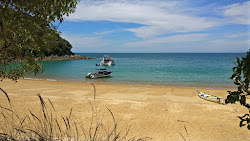 Photo de Te Pukatea Beach situé dans une zone naturelle