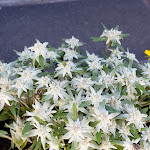 Photo n°4 de l'avis de Massimo.e fait le 20/07/2019 à 15:24 sur le  Ristorobie à Cusio