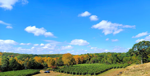 Winery «Preston Ridge Vineyard», reviews and photos, 100 Miller Rd, Preston, CT 06365, USA