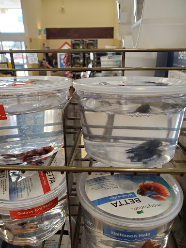 Pet Supply Store «Petco Animal Supplies», reviews and photos, 317 E Trenton Rd, Edinburg, TX 78539, USA