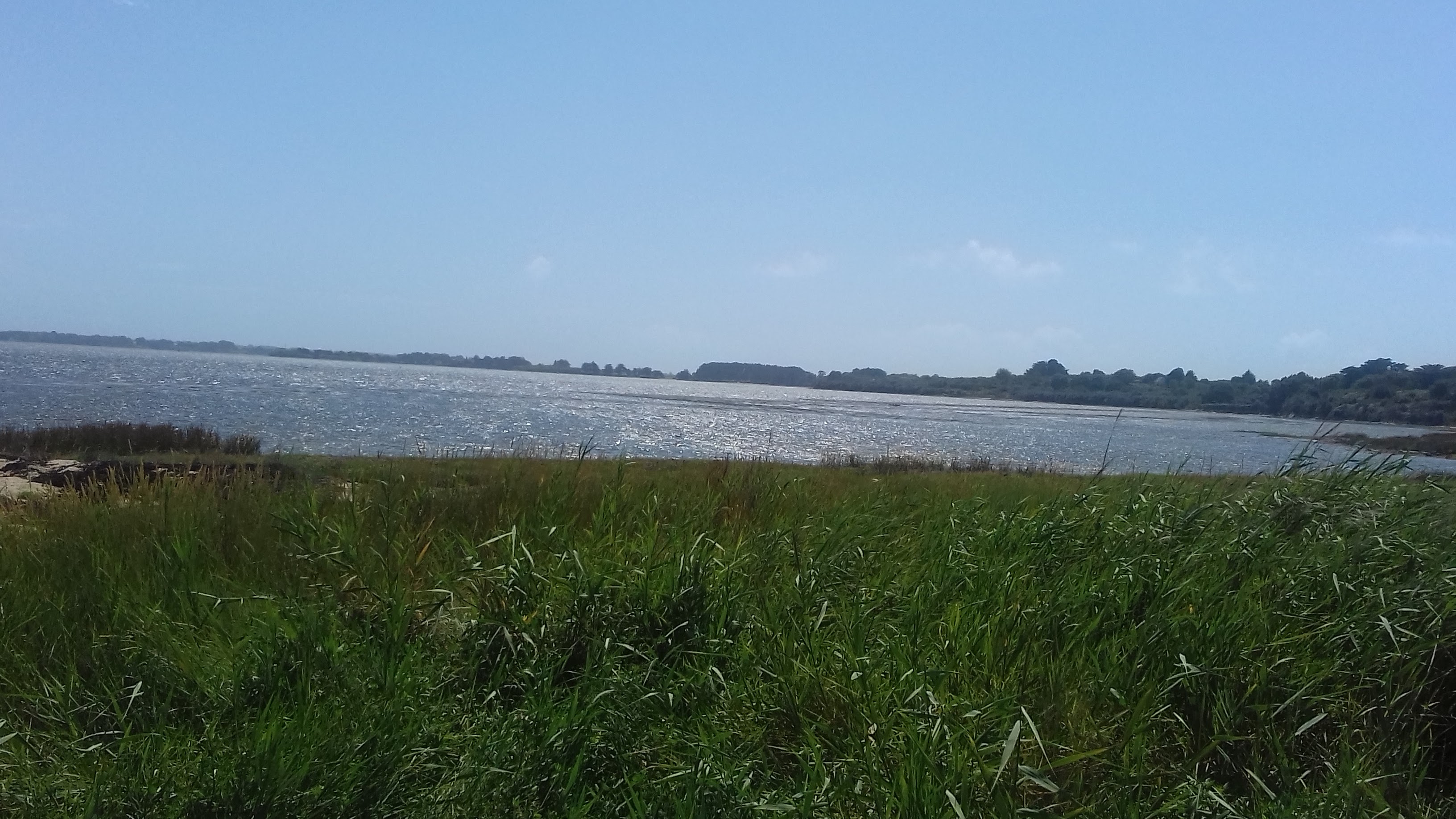 Photo n° 2 de l'avis de Lolo.a fait le 29/07/2019 à 18:46